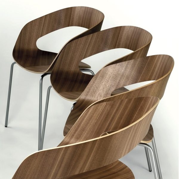 Plycollection Chat tuoli - Image 12