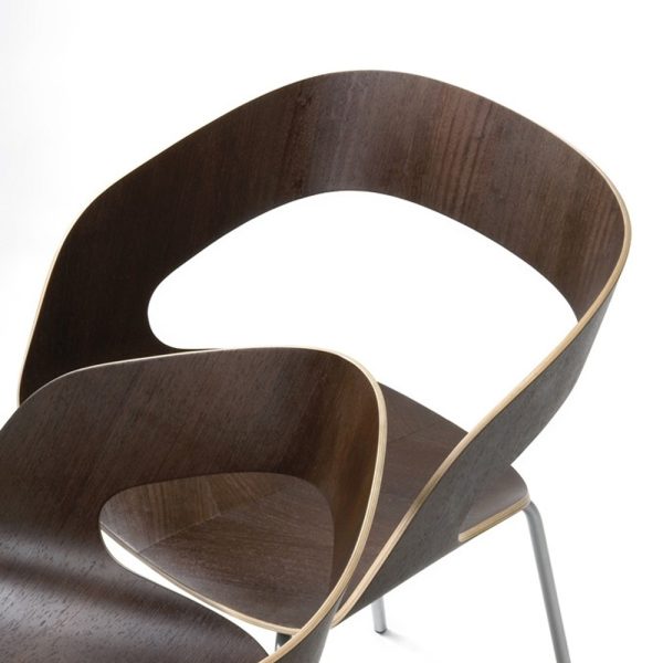 Plycollection Chat tuoli - Image 13