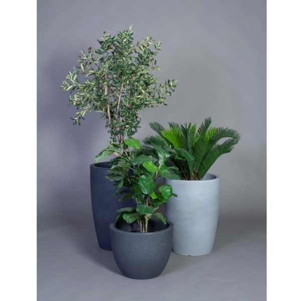 Götessons Fiddle Leaf Fig Tree tekokasvi (iso) - Image 2