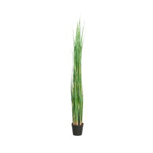 Götessons Grass tekokasvi (iso)
