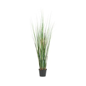 Götessons Grass tekokasvi (pieni)