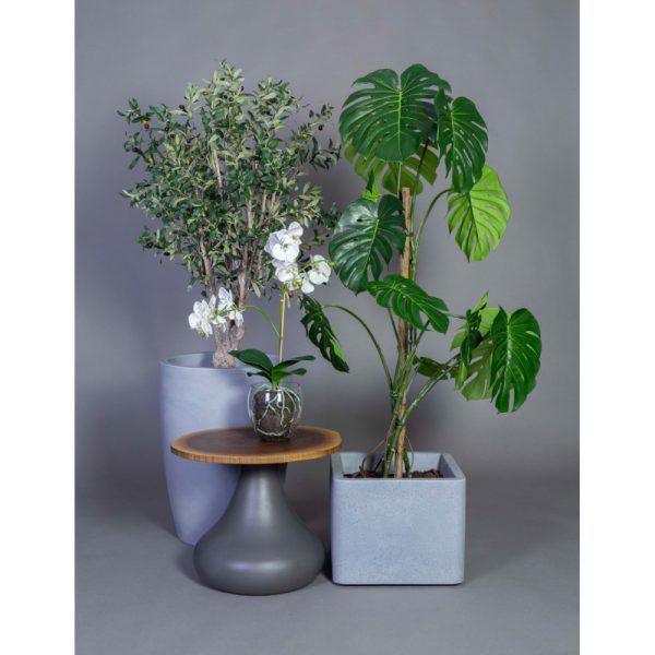 Götessons Monstera tekokasvi - Image 2