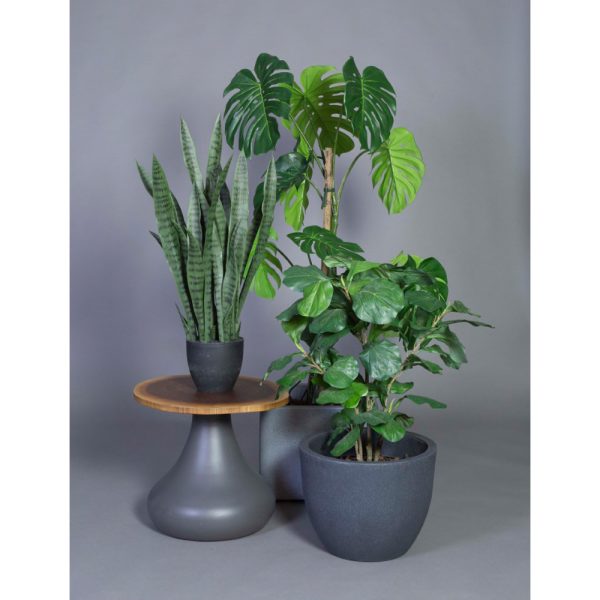 Götessons Monstera tekokasvi - Image 3