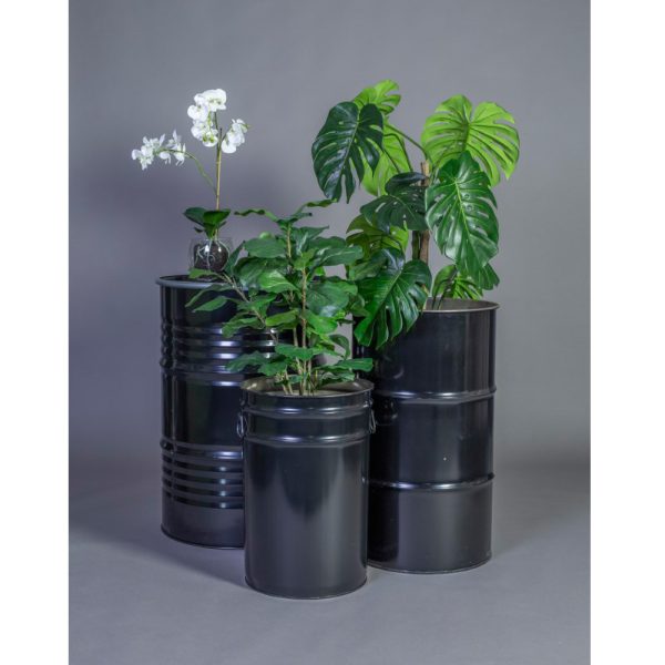 Götessons Monstera tekokasvi - Image 4