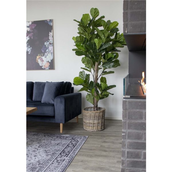 Green Decor Fiddle Leaf Tree tekokasvi 190 cm - Image 3