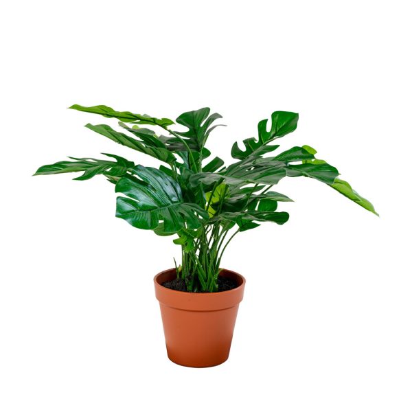 Green Decor Monstera tekokasvi 45 cm