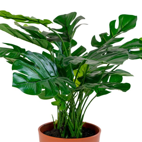 Green Decor Monstera tekokasvi 45 cm - Image 2