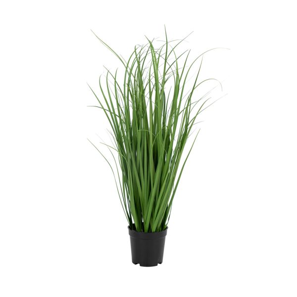 Green Decor Banana Palm tekokasvi - Image 3