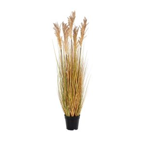 Green Decor Sorghum Grass tekokasvi 110 cm