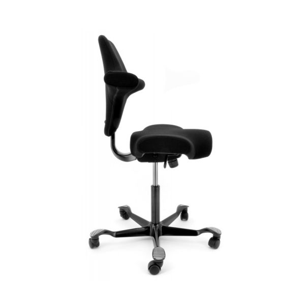 Håg Capisco 8106