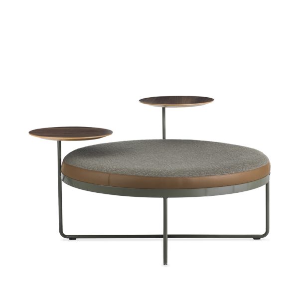 Johanson Shima rahi - Image 4