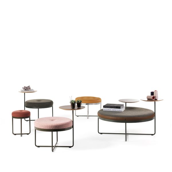 Johanson Shima rahi - Image 5