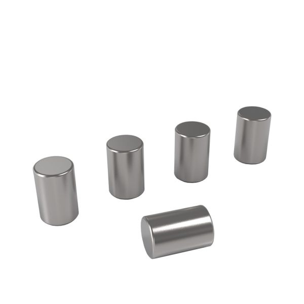 Lintex erikoisvahvat magneetit 5 kpl mattakromi