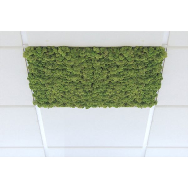 Nordgröna Ceiling akustinen jäkälä kattopaneeli - Image 2
