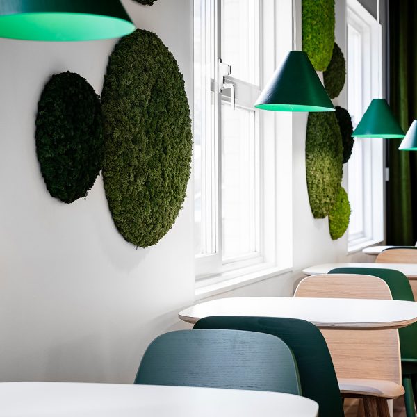 Nordgröna Convex Circle akustinen jäkälä seinäpaneeli - Image 2