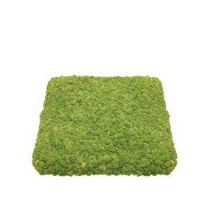 Nordgröna Convex Square akustinen jäkälä seinäpaneeli