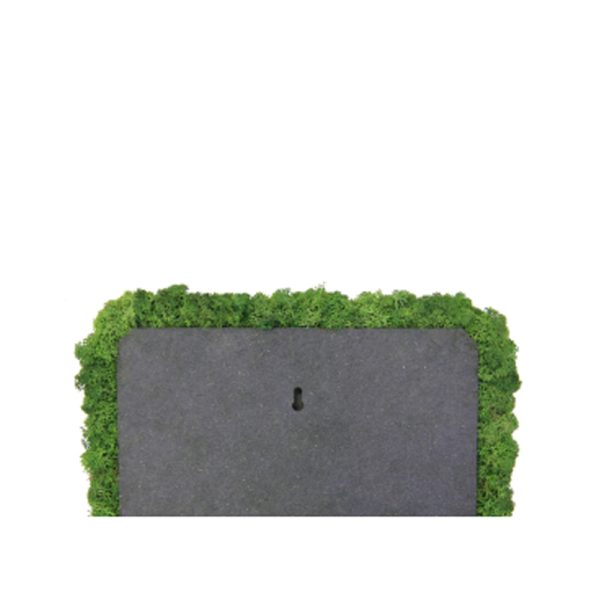 Nordgröna Convex Square akustinen jäkälä seinäpaneeli - Image 3