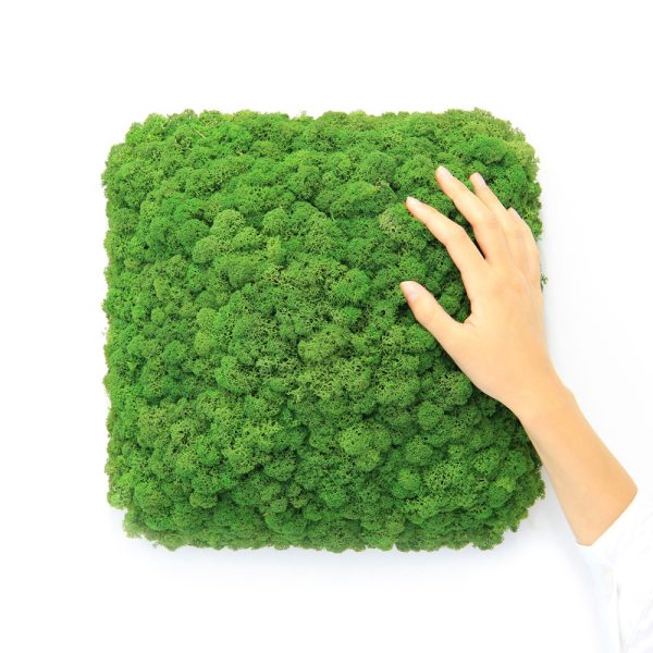 Nordgröna Convex Square akustinen jäkälä seinäpaneeli - Image 2