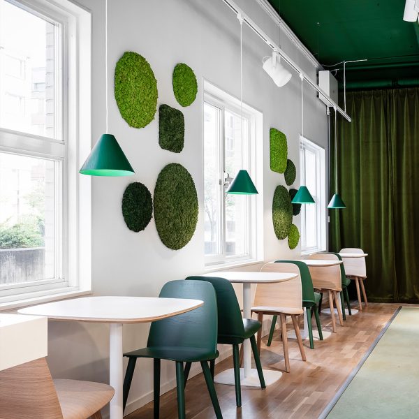 Nordgröna Convex Circle akustinen jäkälä seinäpaneeli - Image 6