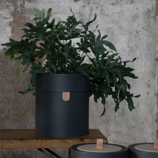 Mizetto Bin There L Pot kierrätysastia - Image 11